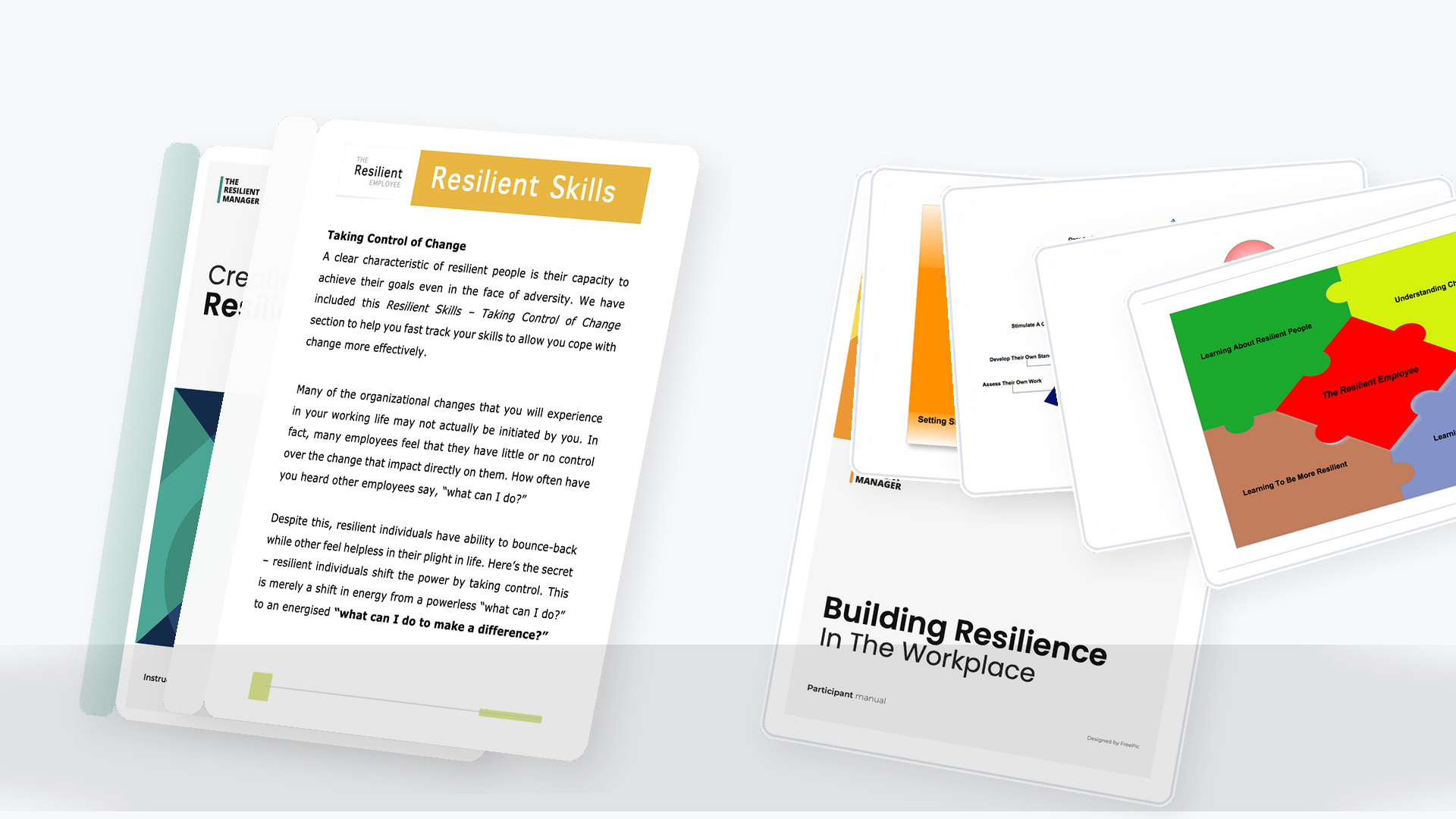 Professional Resilience For Greater Work Life Balance And Success – Self-Study Edition